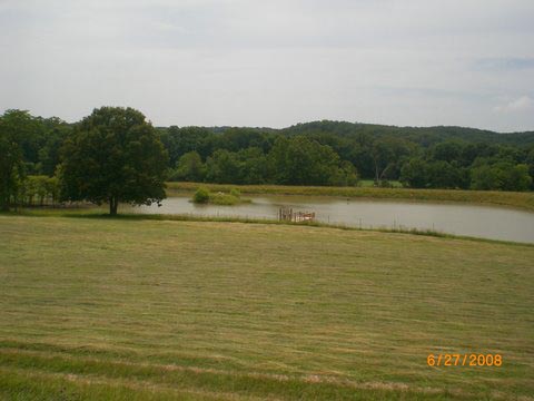 Fields around Lexie's Lake mowed and ready for the bailer...