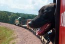 24_Yes, this dog LOVES trains - go Rebel!